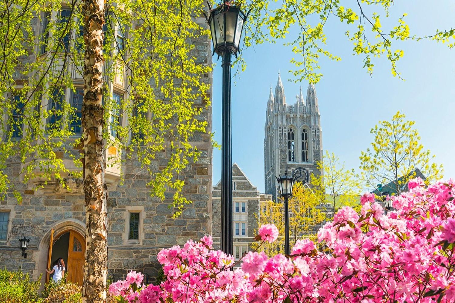 Gasson2